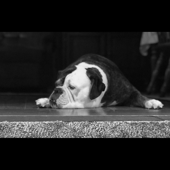 Meet your Posher, 💃🏾❤️Shonny❤️💃🏾 - Picture 4 of 8